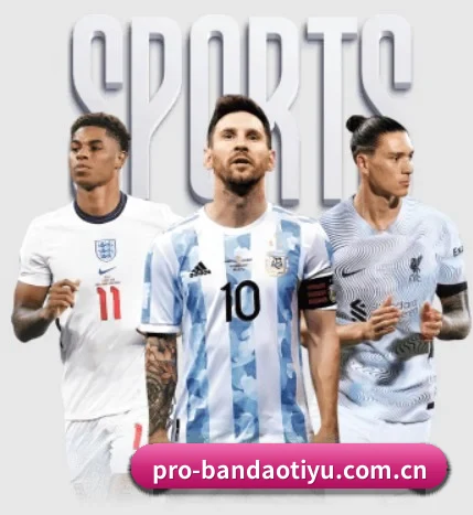 五大服务分区,信息按项目分类 - 多运动项目内容板块(bandao)